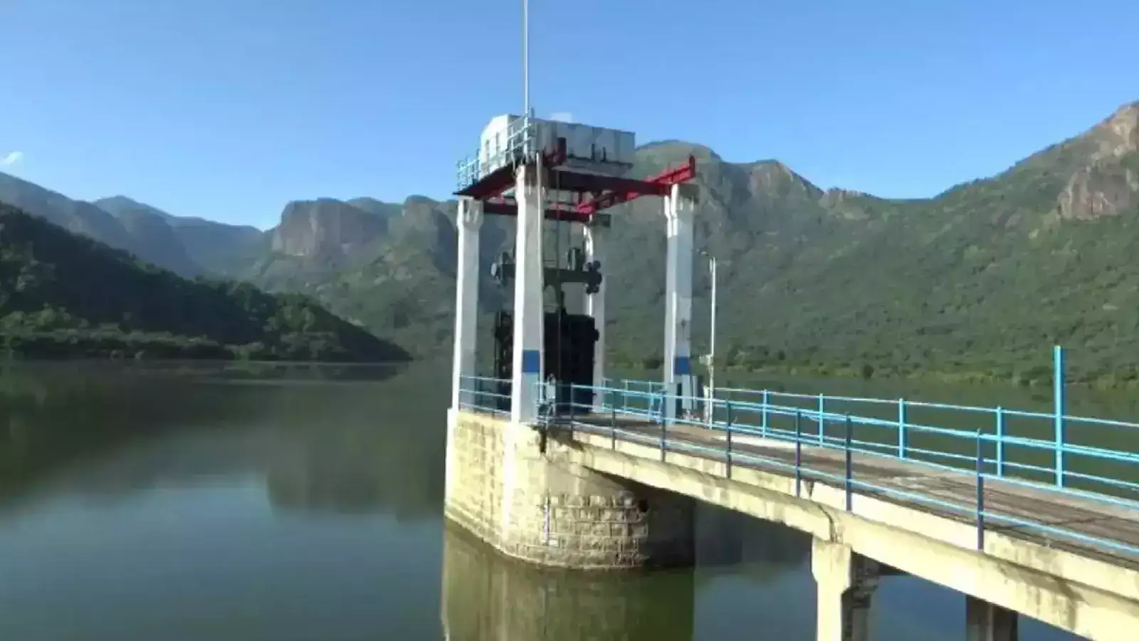 பிளவக்கல் பெரியாறு அணை... தண்ணீர் தேடி வலம் வரும் காட்டு யானைகள்! 