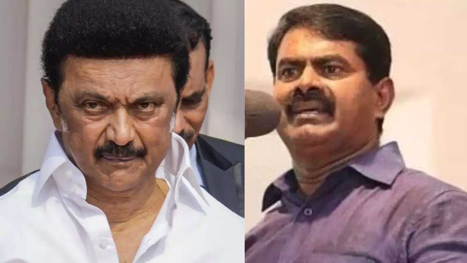 மின்கட்டண உயர்வுதான் திராவிட மாடலா? பச்சைத்துரோகம்.. தமிழக அரசை வெளுத்து வாங்கிய சீமான்! 