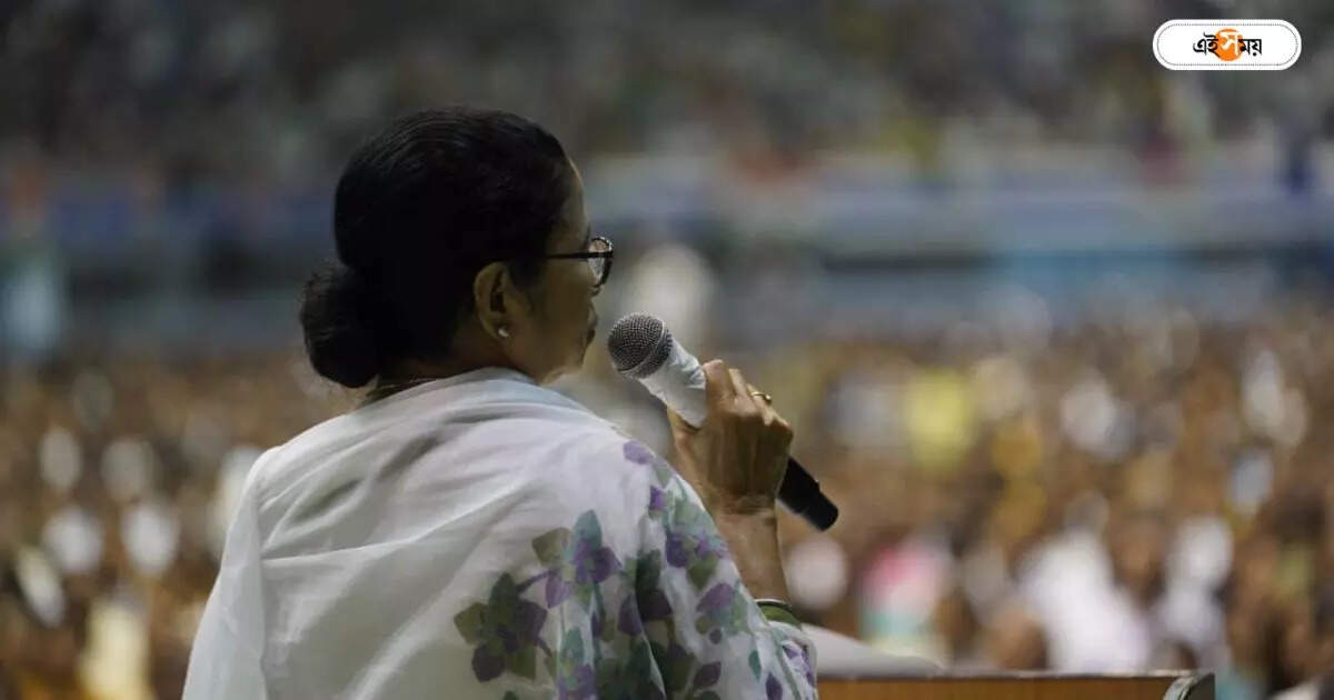Mamata Banerjee : ‘মার খেলে শক্তি বাড়ে…’, মমতার গলায় ফের সিপিএমের নাম, তুমুল চর্চা – mamata banerjee slams cpim from netaji indoor trinamool congress meeting