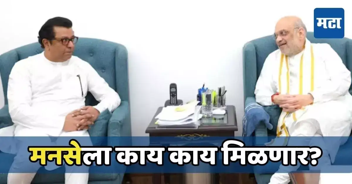 लोकसभेच्या तोंडावर राज ठाकरेंची शहांसोबत चर्चा; भाजपसोबत गेल्यास मनसेला काय काय मिळणार? लोकसभेच्या तोंडावर राज ठाकरेंची शहांसोबत चर्चा; भाजपसोबत गेल्यास मनसेला काय काय मिळणार?