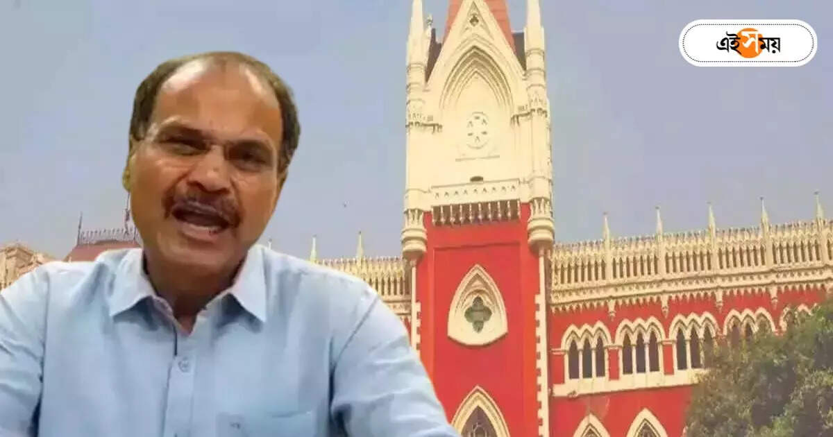 Adhir Ranjan Chowdhury : নির্বাচন ঘোষণা হতেই আদালতে অধীর! পঞ্চায়েত ভোটে কেন্দ্রীয় বাহিনী মোতায়েনের দাবি