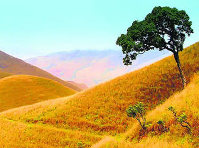 Kudremukh National Park Karnataka,Kudremukh National Park : कर्नाटक का यह  पार्क पूरे साल करता है पर्यटकों का स्वागत - kudremukh national park  karnataka best time to visit entry fee and what to