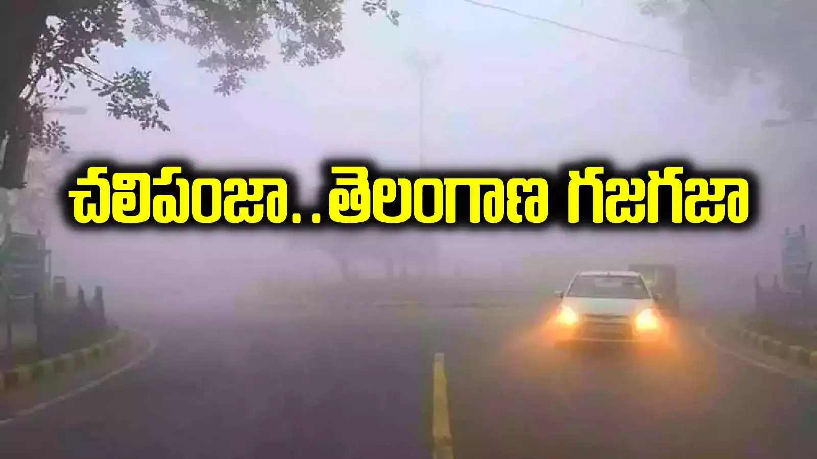 తెలంగాణలో ఎముకలు కొరికే చలి.. ఆరేళ్లలో ఎన్నడూ లేనంత కనిష్టానికి.. ఆ జిల్లాతో పాటు హైదరాబాద్‌లోనూ..!