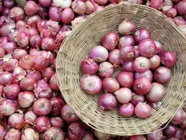 வெங்காய விவசாயிகளுக்கு சூப்பர் நியூஸ்.. மத்திய அரசு புதிய உத்தரவு! 