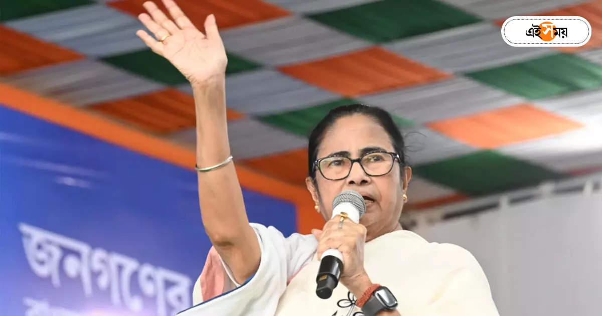 Mamata Banerjee : জোড়াফুল এজেন্টদের মাথা ঠান্ডা রাখার বার্তা দলনেত্রীর – lok sabha election result 2024 cm mamata message to booth agents stay counting center with a cool mood