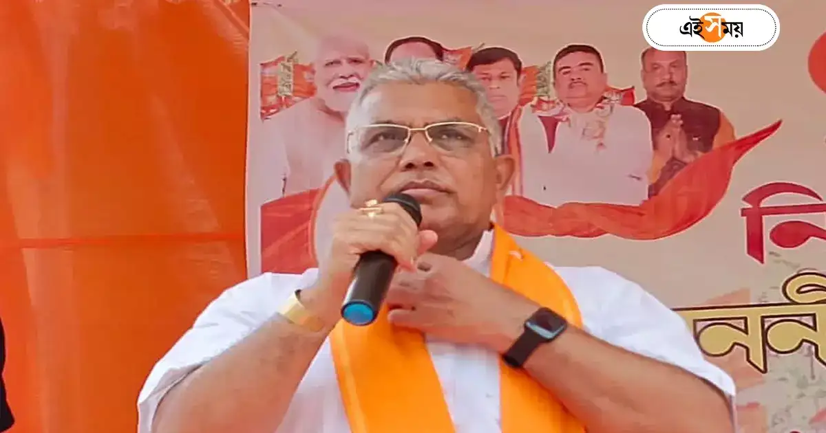 Dilip Ghosh : দিলীপের হাতে কি তবে ঝুনঝুনি! – here is a detailed discussion of the speculations that have started within the bjp about dilip ghosh removal from the post of all india vice president