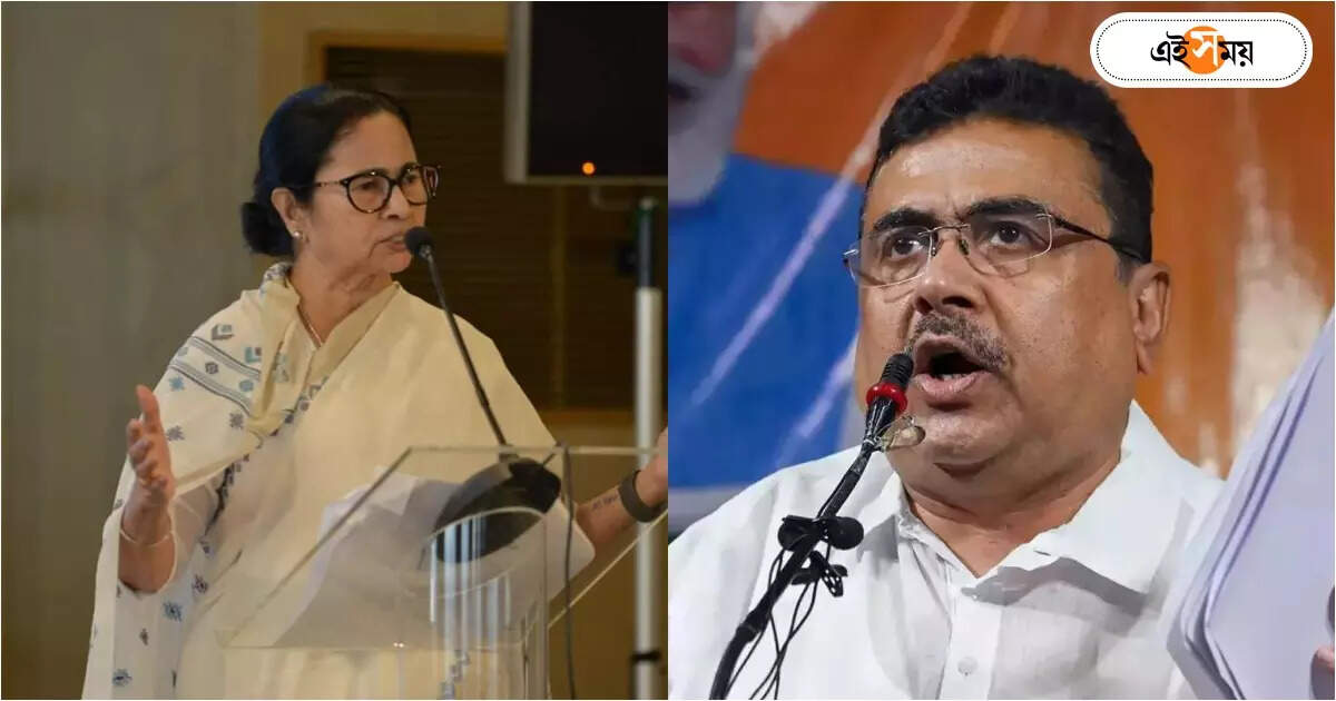 Suvendu Adhikari : ‘ডাবল ডাবল চাকরি!’ IPS ও IAS-দের পুনর্নিয়োগ নিয়ে মমতাকে তোপ শুভেন্দুর – suvendu adhikari attacks mamata banerjee about ex ips and ias rehabilitation