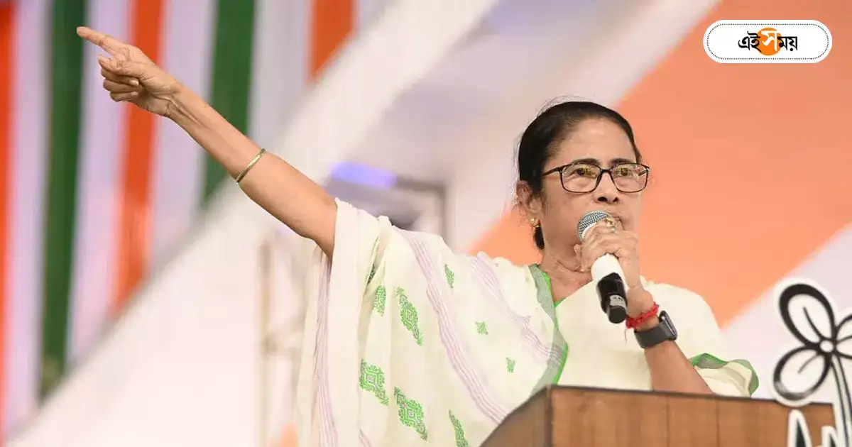Cm Mamata Banerjee,’বলেছিলাম বদলা চাই না, আজ বলছি ফোঁস করুন’, নির্দেশ মমতার – cm mamata banerjee ordered to party worker deal with opposition movement