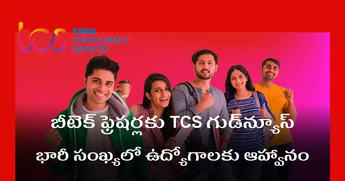 Tcs junior developer jobs tcs jobs tcs 