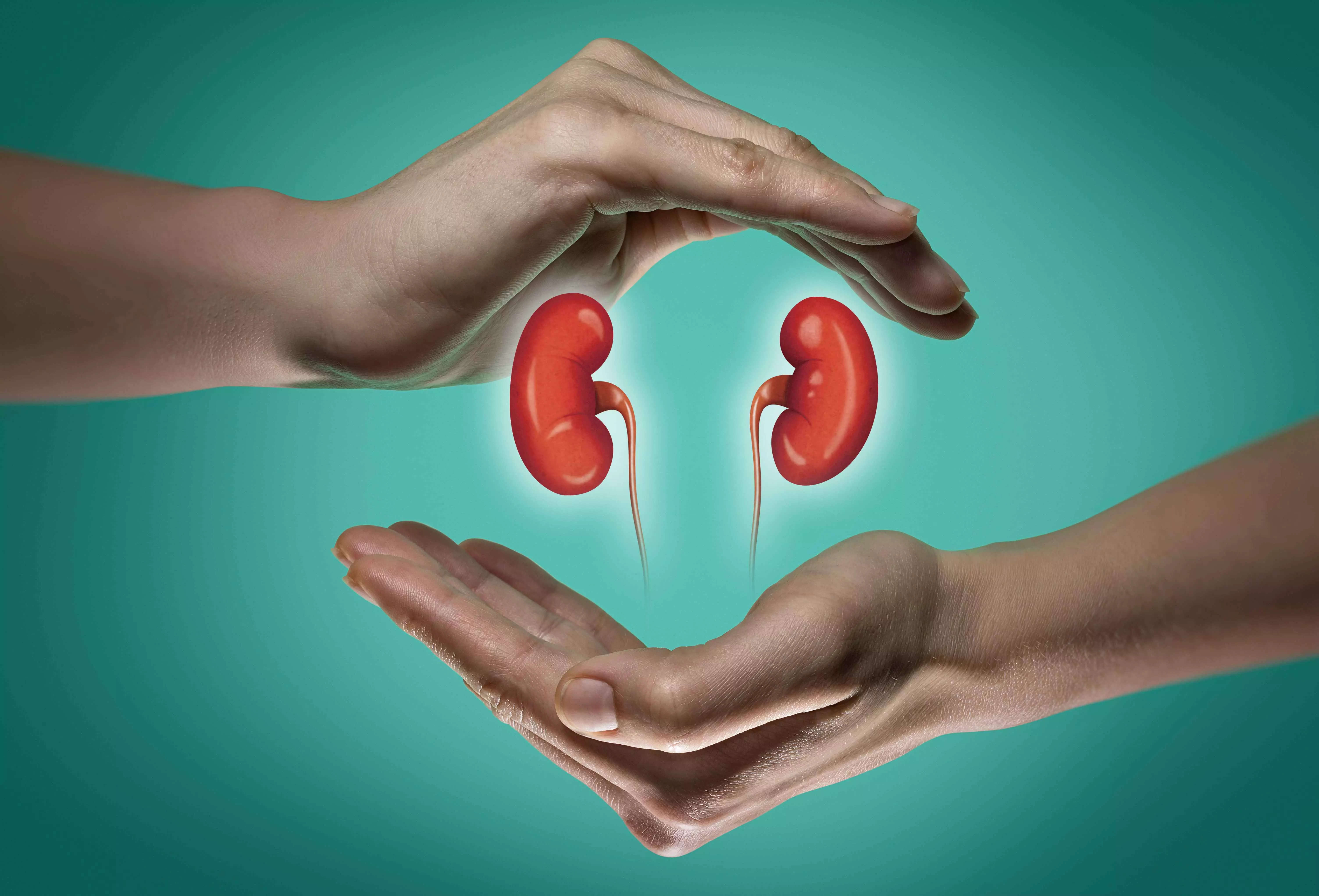 உலக சிறுநீரக தினம் (World Kidney Day)