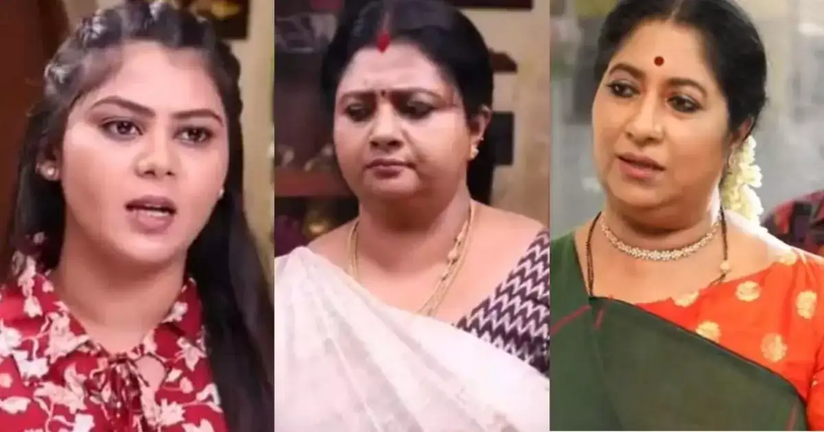 சிறகடிக்க ஆசை: சிந்தாமணியிடம் சிக்கிய ஸ்ருதி.. அடுத்து நடந்த ட்விஸ்ட்.. ஆடிப்போன விஜயா! 