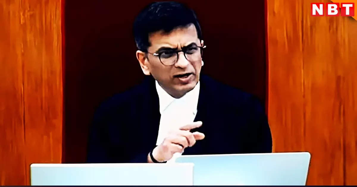 'This is not a coffee shop, this is a court…', when CJI DY Chandrachud got angry at the petitioner 'Yes-yes'