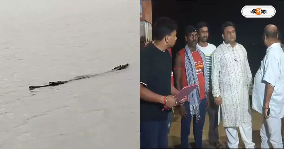 Crocodile,কামারহাটিতে গঙ্গায় দেখা মিলল কুমিরের? আতঙ্কে মৎস্যজীবীরা – crocodile seen near pituri ghat at kamarhati creates panic among the fishermen