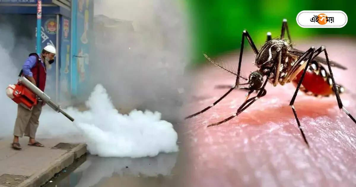 Dengue In Kolkata : ডেঙ্গি রোখার পুর-অভিযানে উঠছে বিস্তর প্রশ্ন, বাড়ছে সংকট – many questions are raised in dengue prevention campaign in kolkata