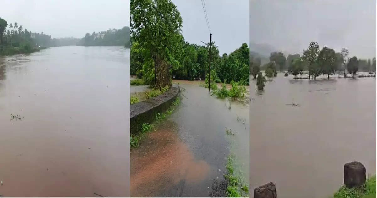 कोकणात मुसळधार पाऊस, नद्या तुडूंब भरल्या; महाड, खेडमध्ये नदीकाठच्या नागरिकांना इशारा