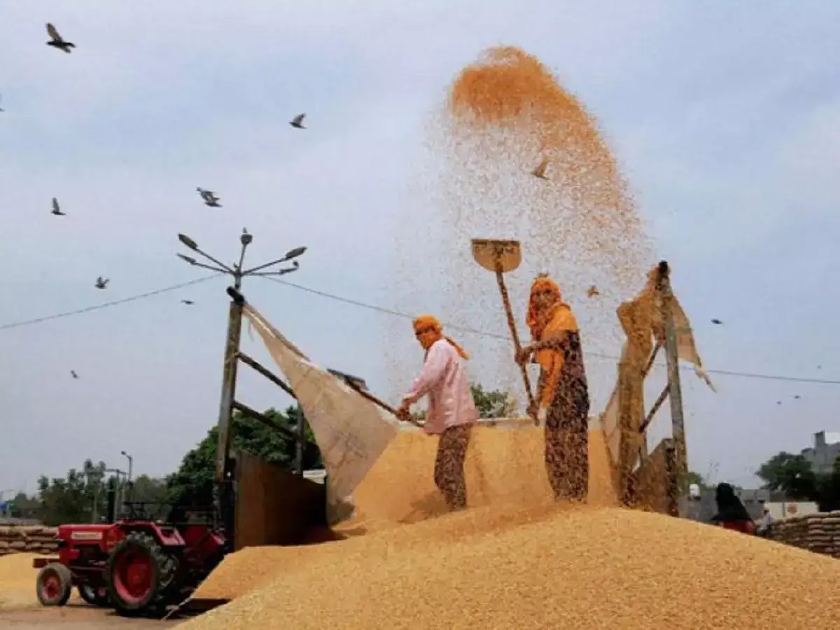 உணவு உற்பத்தி திருப்தியா இருக்கு.. மத்திய அரசு பெருமிதம்! 