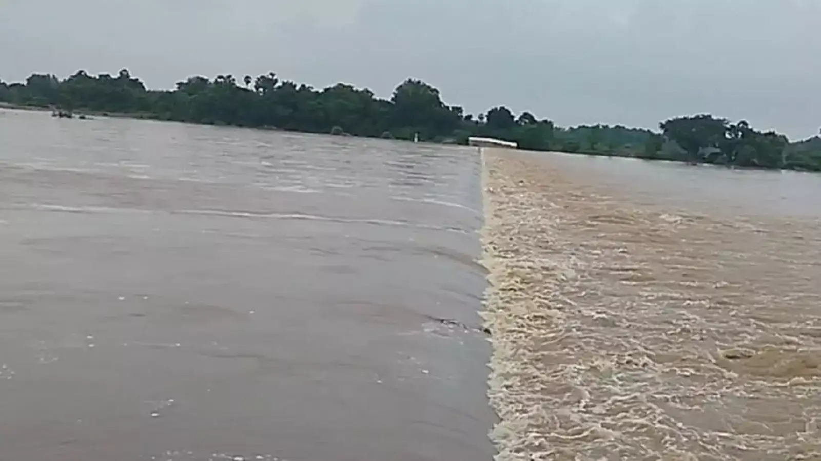 காஞ்சிபுரம் செய்யாறு ஆறு அணைக்கட்டில் கரைபுரண்டோடும் வெள்ளம்! 