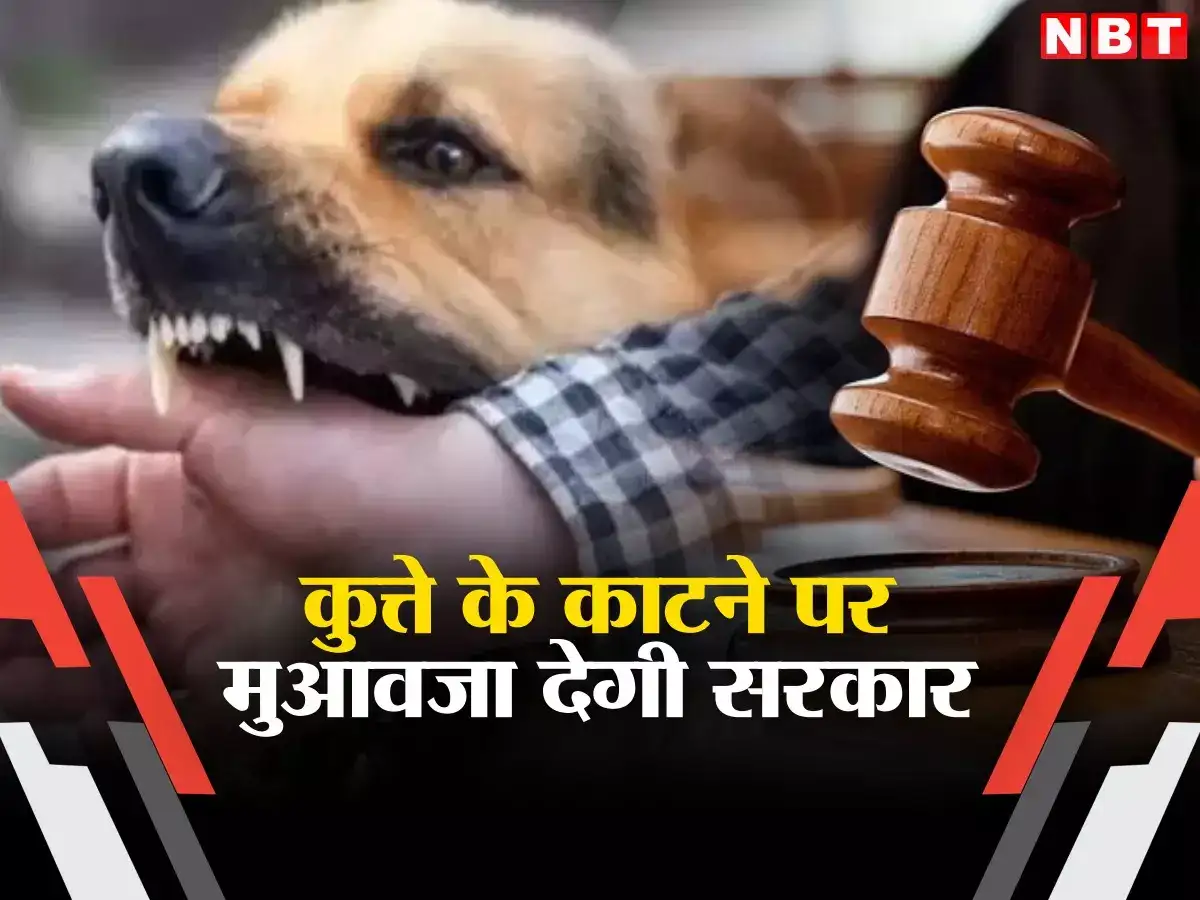 If bitten by a dog, you will get compensation of Rs 10,000 for each