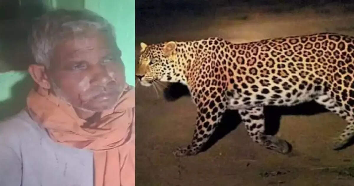 खेत की रखवली कर रहा था बुजुर्ग, सामने ऐसा जानवर आया की खौफ में आ गया, फिर दिखाई ऐसी बहादुरी की सब हैरान