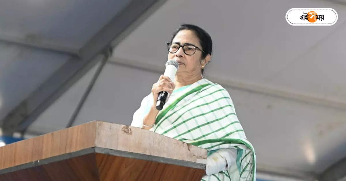 Cm Mamata Banerjee,বন্‌ধ: কিছুই করতে পারলেন না, মলয়কে ভৎর্সনা মমতার – cm mamata banerjee expressed dissatisfaction several departments work in state cabinet meeting