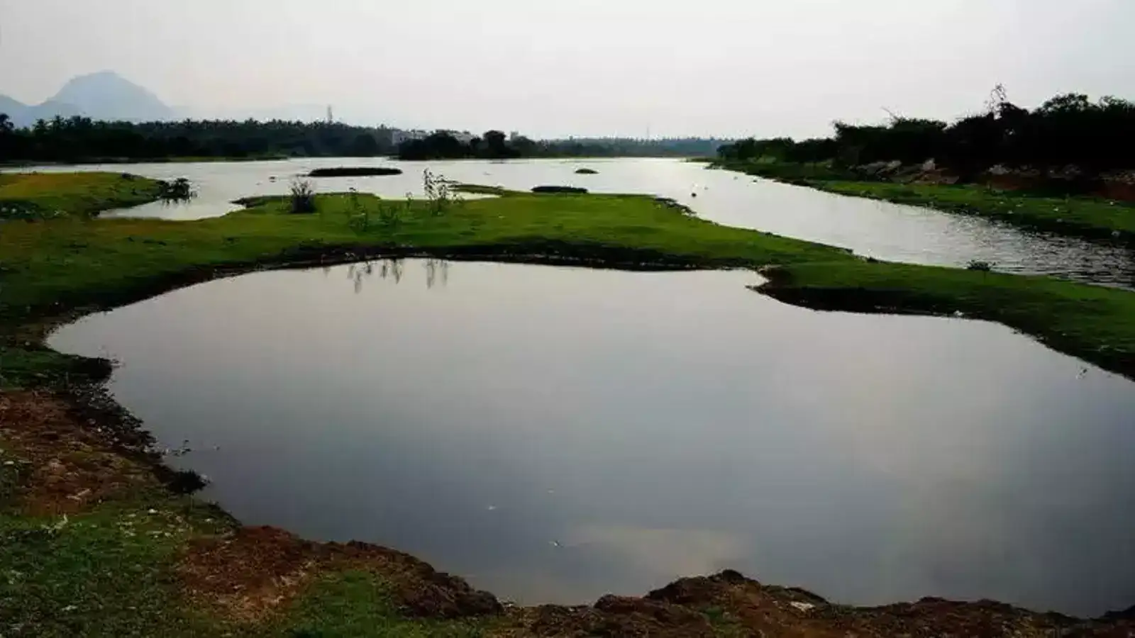 கோவை செங்குளம் ஏரி சீரமைப்பு-சுற்றுச்சூழல் ஆர்வலர்கள் கவலை! 