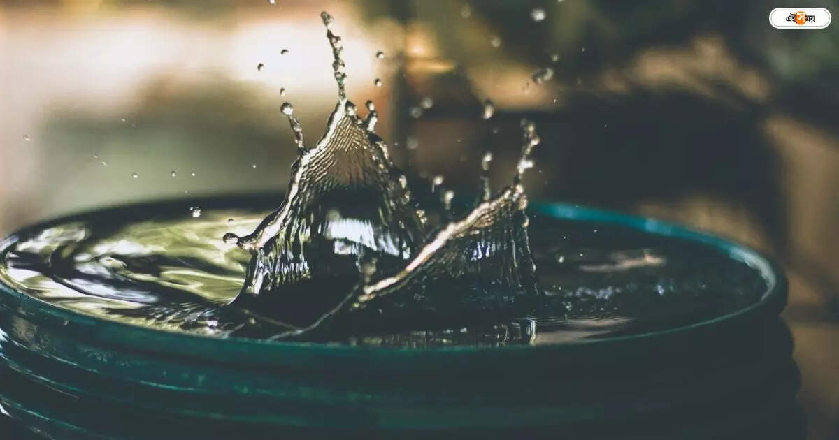 Water Preservation In Asansol : জল সংরক্ষণ করলে তবেই মিলবে বাড়ি তৈরির অনুমতি – rupnarayanpur panchayat took a resolution to allow construction of houses only if water preservation