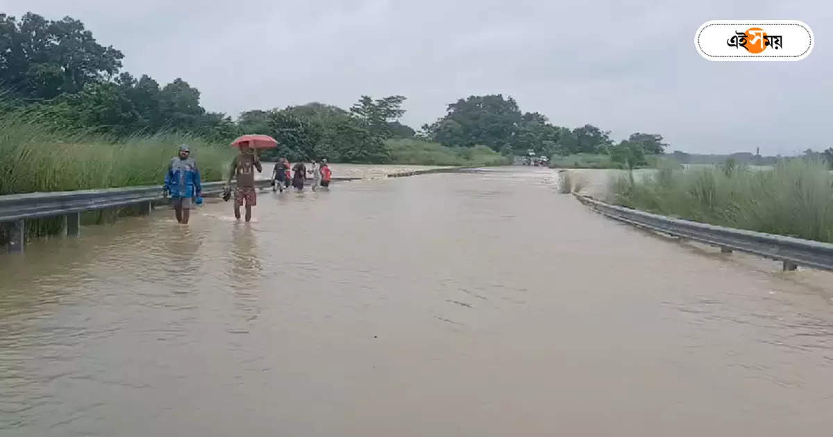 Heavy Rain,নাগাড়ে বৃষ্টি, দক্ষিণবঙ্গে জলের তলায় রাস্তা-সেতু – south bengal people life in disrupted by continuous heavy rain