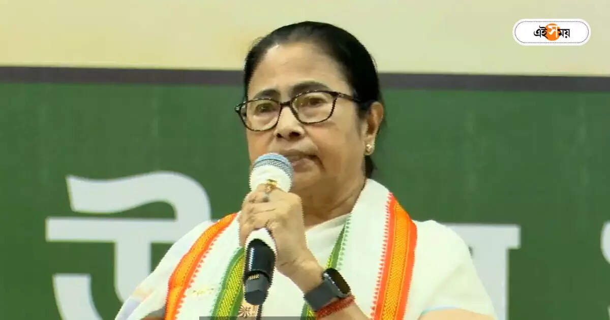 'আপনারা সবাই নাগরিক…', শাহের সিএএ বার্তার পর পালটা মমতা 'আপনারা সবাই নাগরিক…', শাহের সিএএ বার্তার পর পালটা মমতা