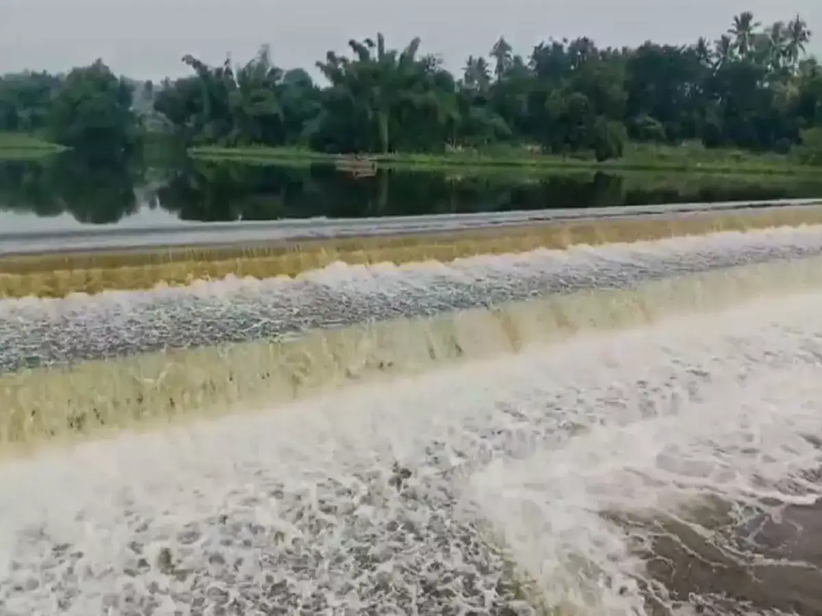 அமராவதி ஆற்றின் துணை ஆறுகளின் உபரி நீர் வெளியேற்றம்! 