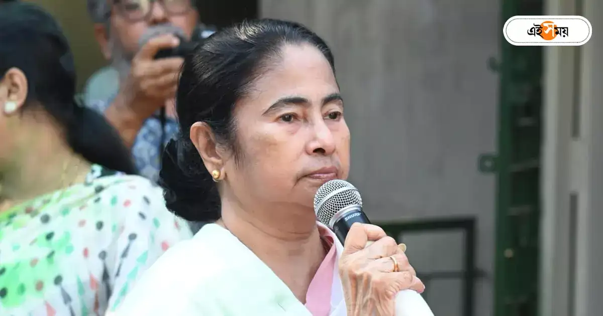 Cm Mamata Banerjee,NRC ইস্যু থেকে পাওনা, এমপি-রা সরব হবেন কক্ষে – cm mamata banerjee praises trinamool leader for success 2024 lok sabha election