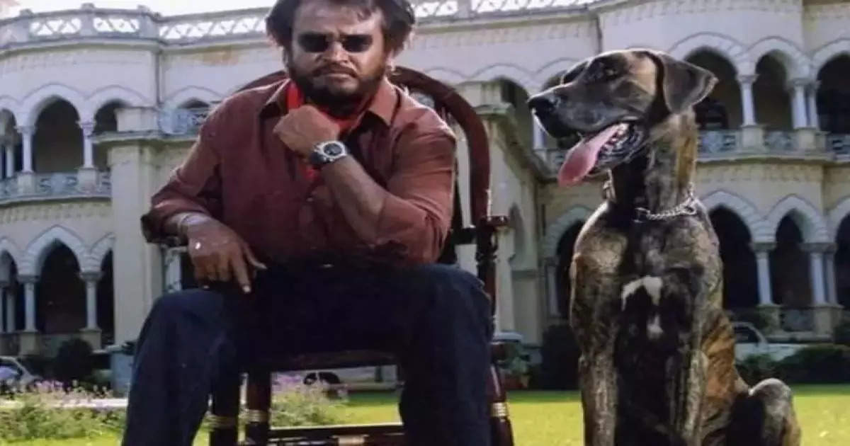 RajiniKanth - Baasha | Balaji Ganesan | Flickr