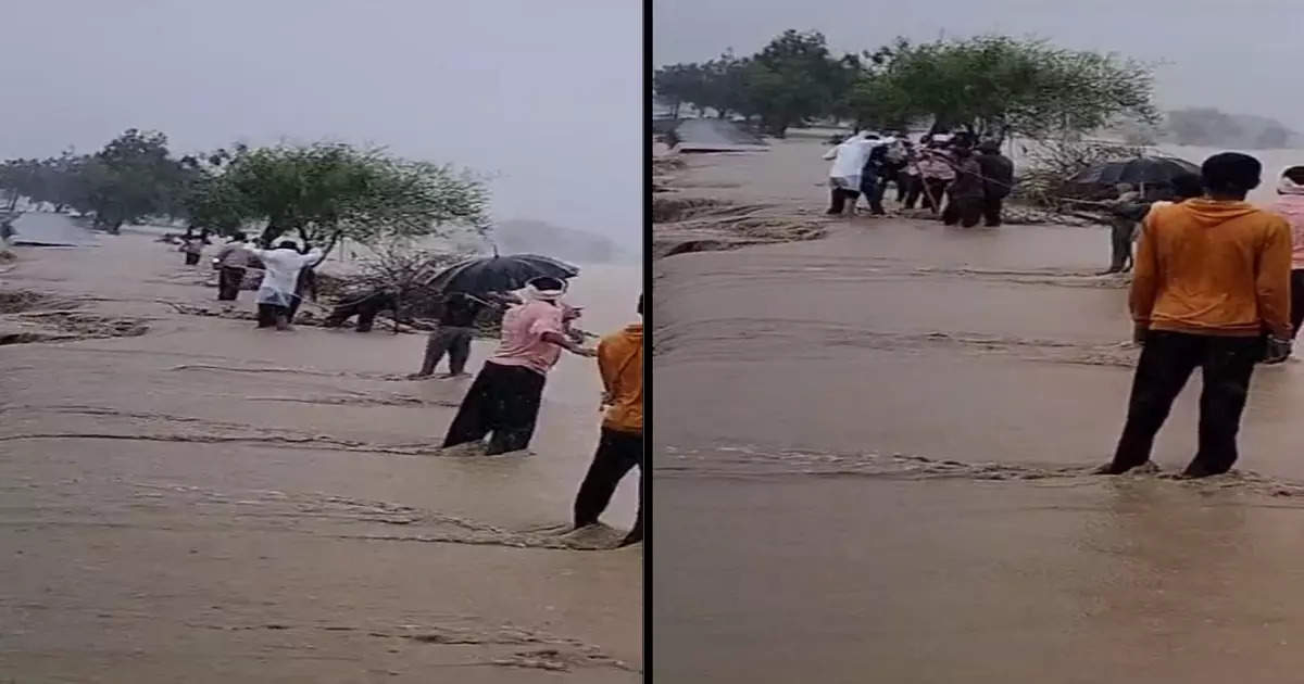 मामा-भाचा राखणीसाठी शेतात गेले; ट्रॅक्टरच्या ट्रॉलीत झोपले, रात्री अचानक आलेल्या पुरात तरंगू लागले अन्…