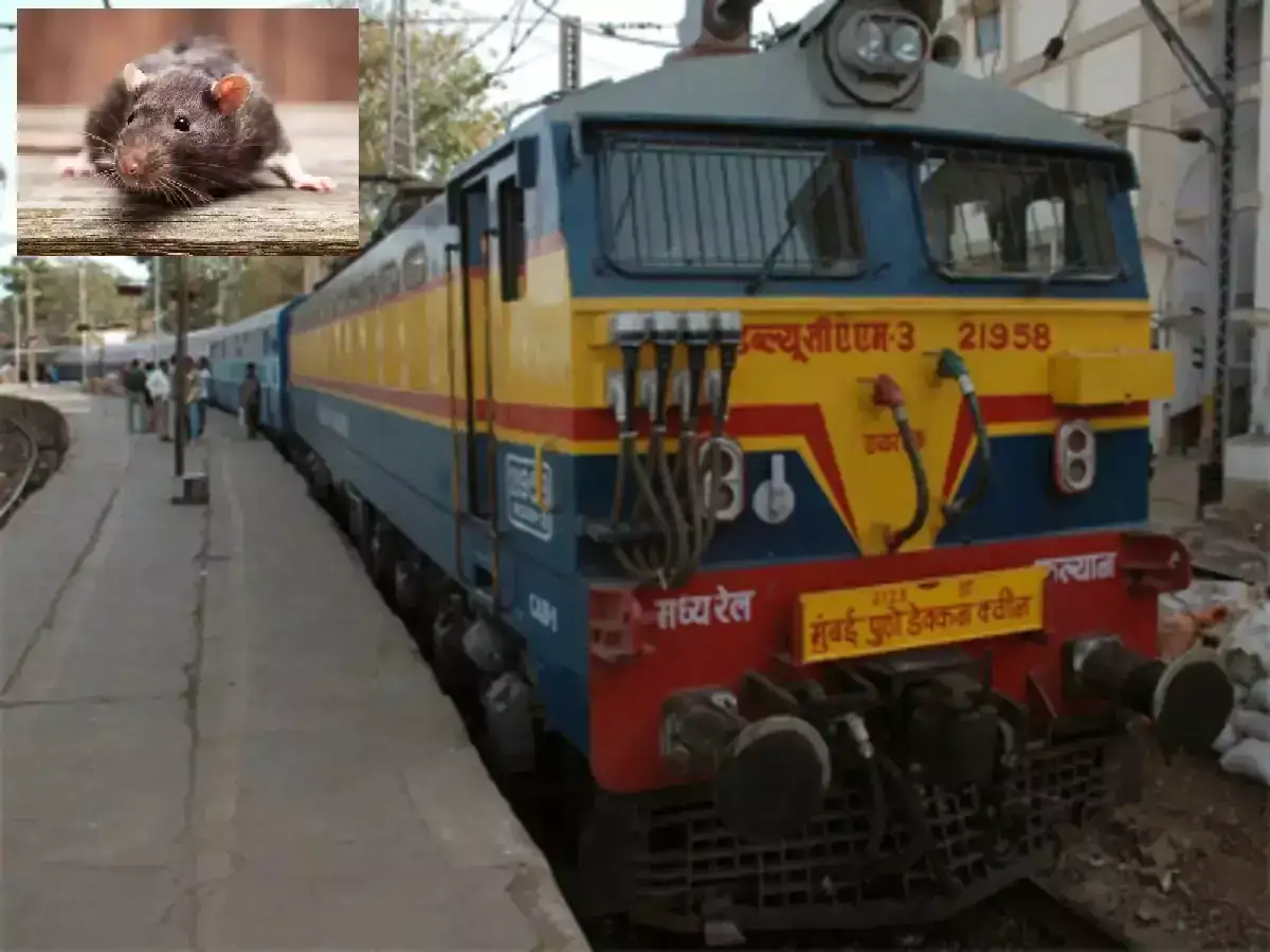 डेक्कन क्वीनमध्ये जंतूनाशक फवारणी, उंदराच्या वावराबाबत ‘मटा’च्या बातमीची गंभीर दखल डेक्कन क्वीनमध्ये जंतूनाशक फवारणी, उंदराच्या वावराबाबत ‘मटा’च्या बातमीची गंभीर दखल