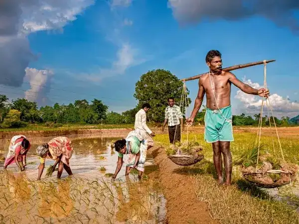 விவசாயிகளுக்கு எண்ணற்ற திட்டங்கள்.. பல கோடி ரூபாய் ஒதுக்கீடு! 
