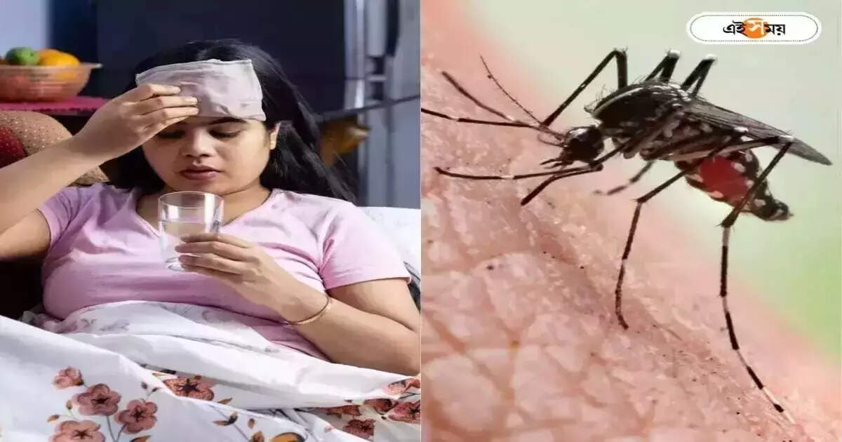 Dengue Fever : ডেঙ্গির মধ্যে পিরিয়ডই কি ডেকে আনল বিপদ? বারাসতে মৃত্যু – barasat 15year old girl died of dengue during her period