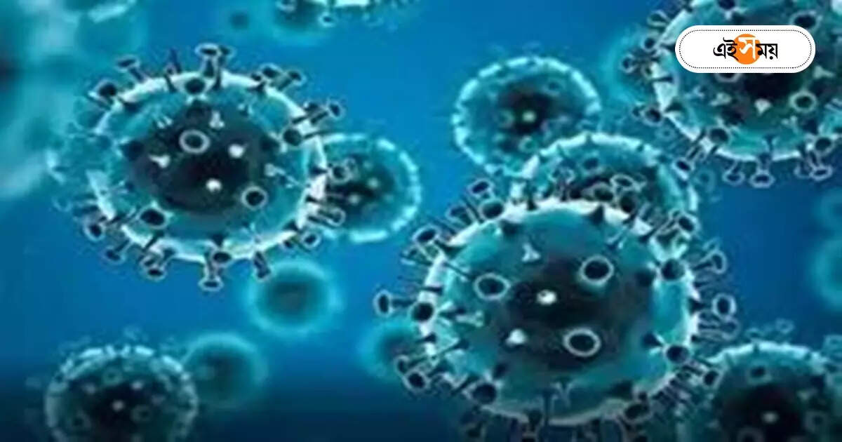 Covid 19 Virus : চিহ্নিত লং কোভিডের ‘ভিলেন’ – even though the corona is over the new addition is a gene named foxp-4