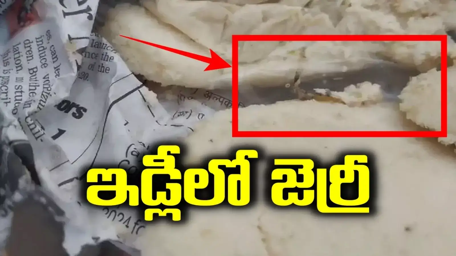 Jagtial: అమ్మబాబోయ్.. ఇడ్లీలో జెర్రీ.. చిన్నపిల్లాడికి తినిపిస్తుండగా ప్రత్యక్షం..!