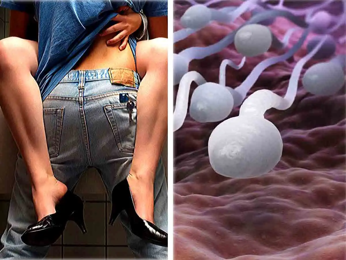 क्या वीर्य की एक बूंद खून की 100 बूंदों के बराबर होती है? जानिए डॉक्टर्स की  राय-is one drop of semen equal to 100 drops of blood-Navbharat Times