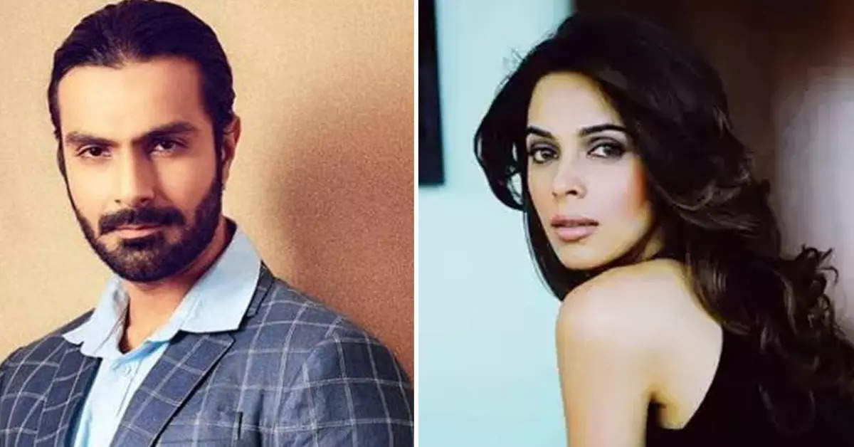 Mallika Sherawat accused Ashmit Patel of strangulation, the actor told what happened after 20 years