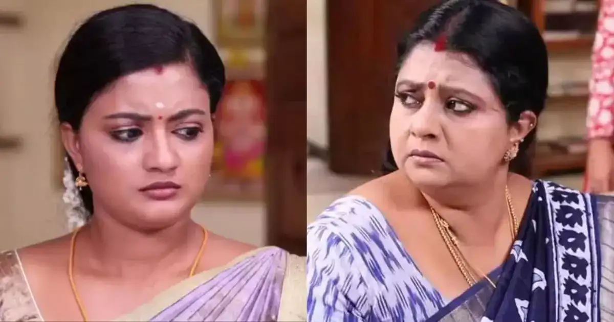 சிறகடிக்க ஆசை: மீனாவுக்காக வரிந்துகட்டிக்கொண்டு சண்டைக்கு போன விஜயா.. என்ன திடீர் பாசம்? 