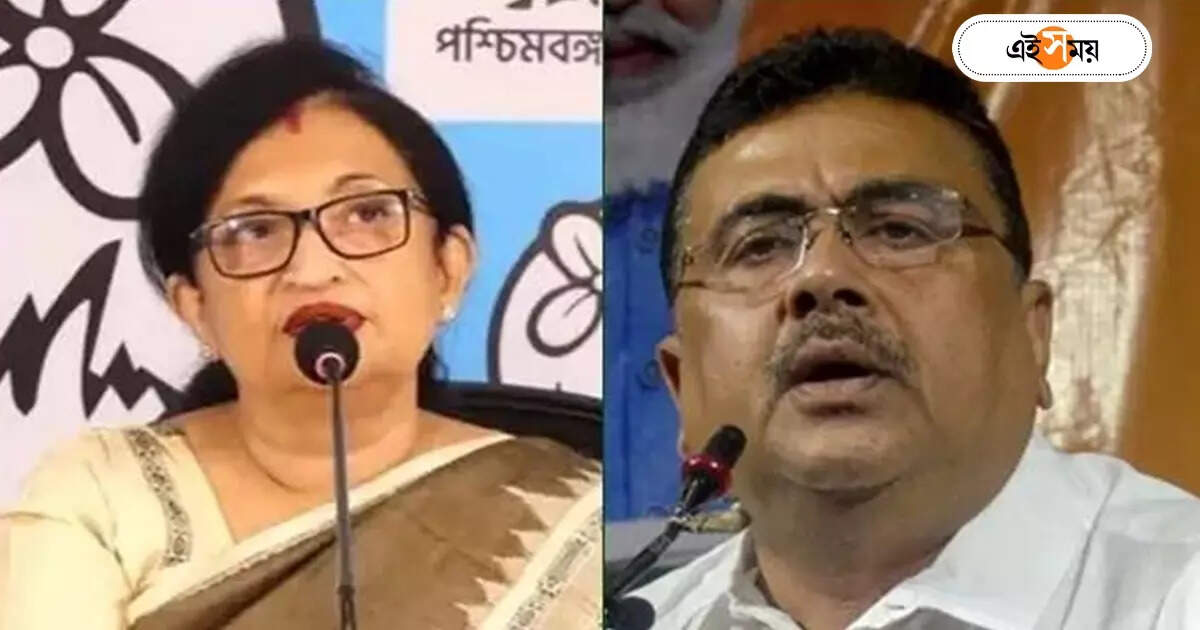 Chandrima Bhattacharya : বর্ধিত বেতন নেবেন না শুভেন্দু, কটাক্ষ চন্দ্রিমার – chandrima bhattacharya attacks suvendu adhikari about his remark on bill to increase the salaries of ministers