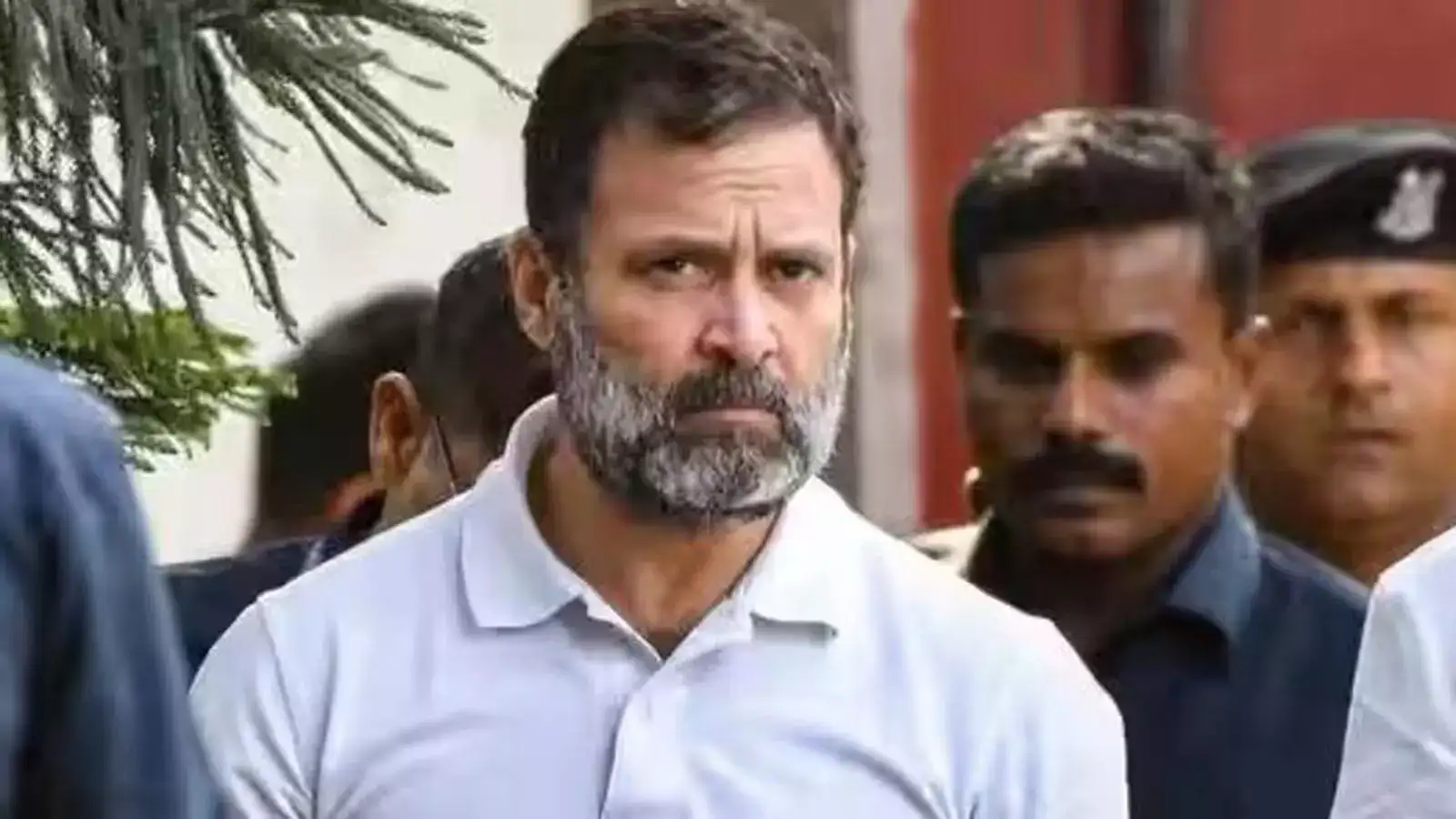 माझ्या जीवाला धोका, राहुल गांधींची पुणे न्यायालयात लेखी माहिती, सावरकर बदनामी प्रकरणी मोठी अपडेट माझ्या जीवाला धोका, राहुल गांधींची पुणे न्यायालयात लेखी माहिती, सावरकर बदनामी प्रकरणी मोठी अपडेट