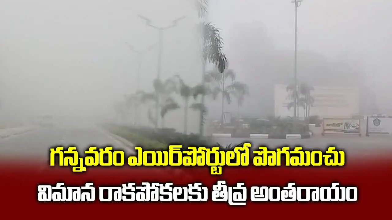 గన్నవరం ఎయిర్‌పోర్టును కమ్మేసిన పొగమంచు