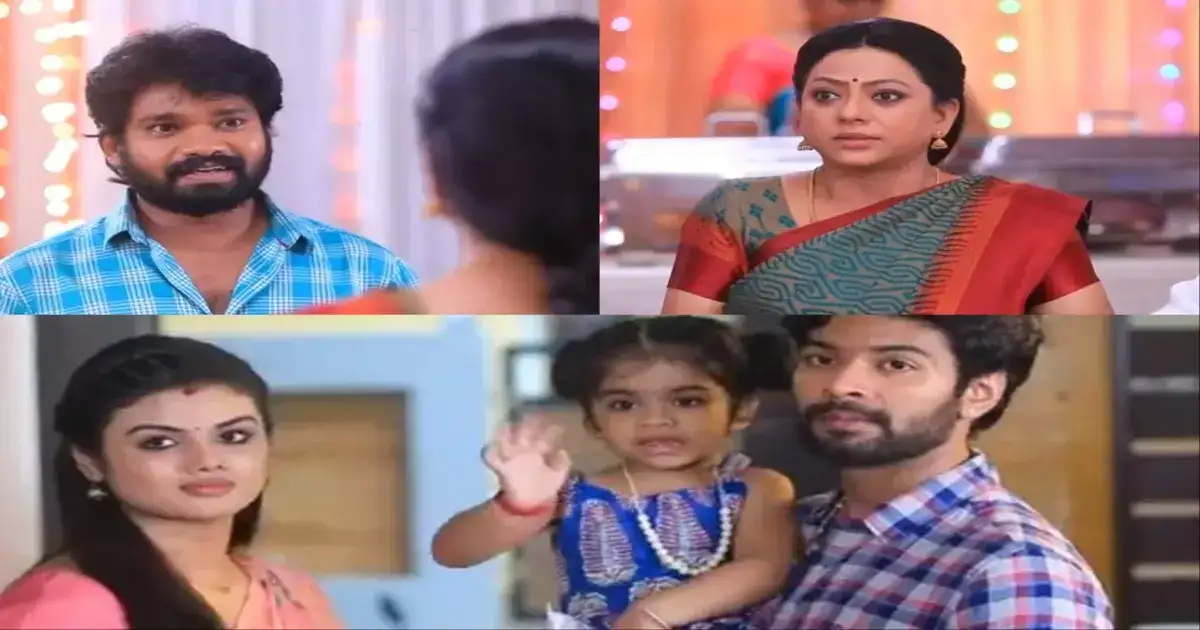 ரெண்டே நாளில் எழில் - அமிர்தா வாழ்க்கையில் வீசப்போகும் புயல்: பாக்யாவுக்கு வந்த எச்சரிக்கை.! 