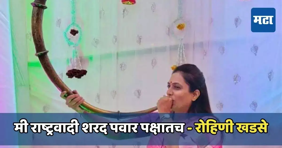 मी राष्ट्रवादी शरद पवार पक्षातच आणि भविष्यातही राहणार, रोहिणी खडसे यांनी स्पष्टच सांगितलं मी राष्ट्रवादी शरद पवार पक्षातच आणि भविष्यातही राहणार, रोहिणी खडसे यांनी स्पष्टच सांगितलं