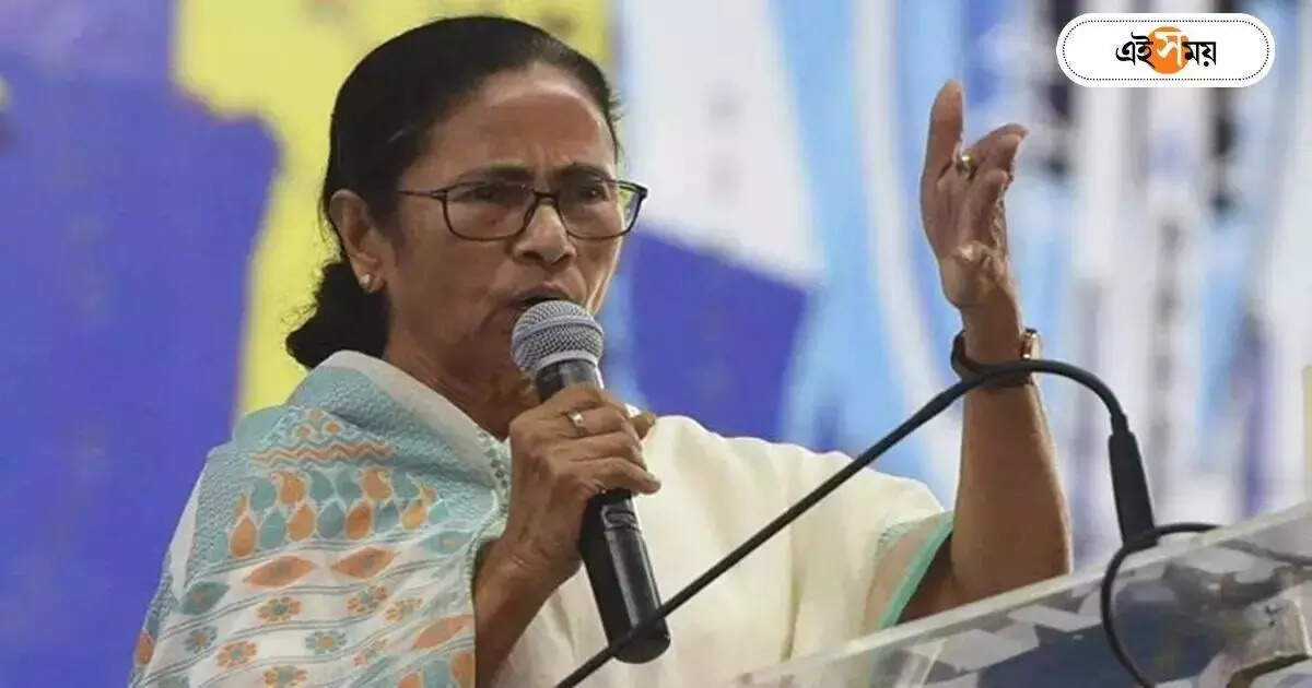 Bjp Advertisement Expenses,’১ হাজার কোটি টাকা দিতে হবে, জনগণকে দিয়ে দেব’, ফের মানহানি মামলার হুঁঁশিয়ারি মমতার – mamata banerjee attacks bjp about advertisement issue from lok sabha election rally