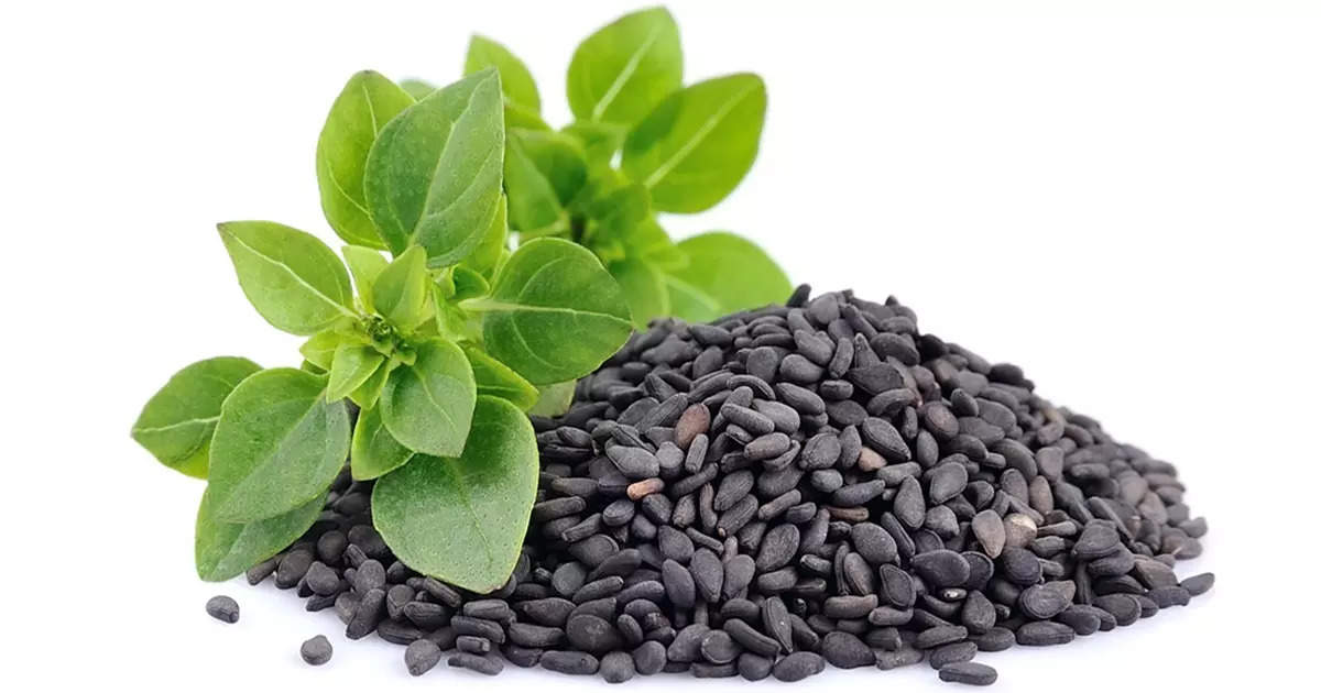 Basil Seeds Benefits