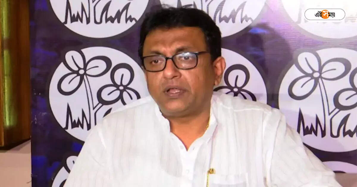 Trinamool Congress : দলের মুখপাত্র পদ থেকে অপসারণ, শান্তনু সেনকে নিয়ে সিদ্বান্ত তৃণমূলের – trinamool congress removed santanu sen from spokesperson post