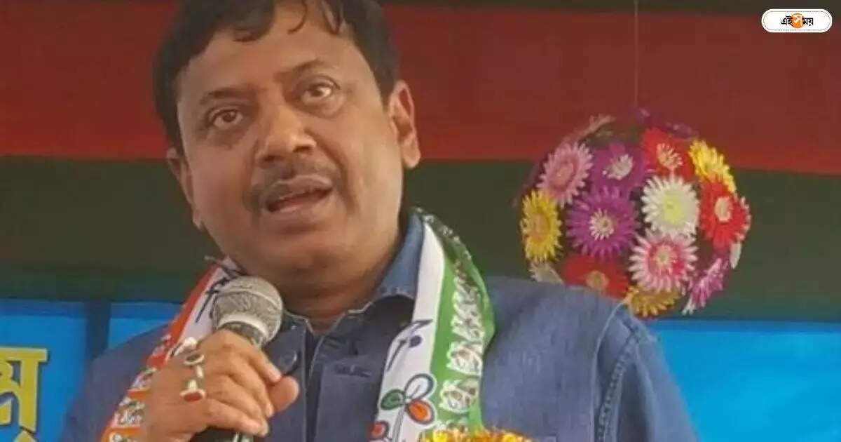 Partha Bhowmick : কল্যাণী পর্যন্ত মেট্রো চান পার্থ ভৌমিক – barrackpore tmc candidate partha bhowmick says if he win in lok sabha vote will provide metro services to kalyani