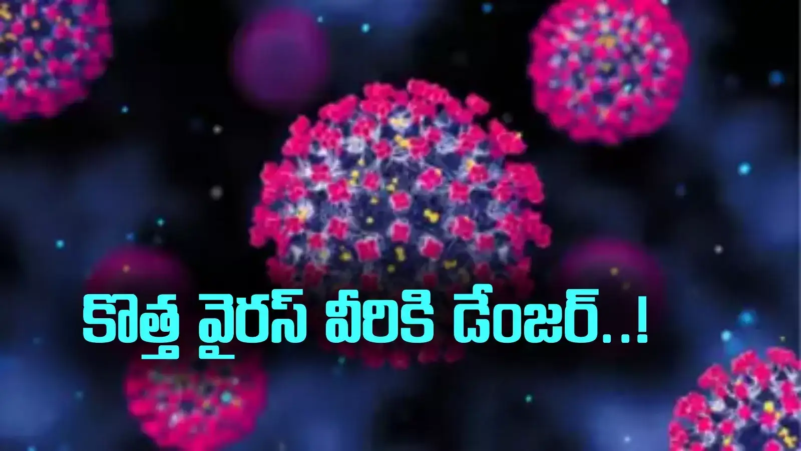 HMPV Virus: కొత్త వైరస్‌పై భయాందోళనలు.. ఏపీ ప్రజారోగ్యశాఖ కీలక సూచనలు..